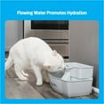thumbnail image 4 of Premier Pet 100 oz. Pet Fountain - Automatic Water Fountain for Dogs and Cats, 4 of 14