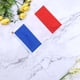 thumbnail image 3 of EeaseMX 50 banderas pequeñas de Francia para sujetar con palo, banderas internacionales de países del mundo, decoración para fiestas., 3 of 7
