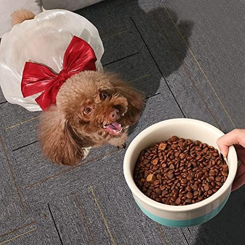 Ceramic Dog Bowls, Dog Food Dish for Large Dogs and Cat, Heavy Duty Porcelain Pet Bowl for Canned Food and Water 78 Fl Oz （Fog Blue）