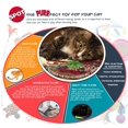 thumbnail image 3 of Spotbrites Ethical Pet 3 Pack Of Motion Activated Cat Ball Cat Toys, 3 of 3