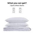 thumbnail image 4 of Videri Home Leaf Pattern Lightweight All Season Quilt Set, Ultra Soft Brushed Microfiber Bedspread, Machine Washable(White, Full/Queen), 4 of 5