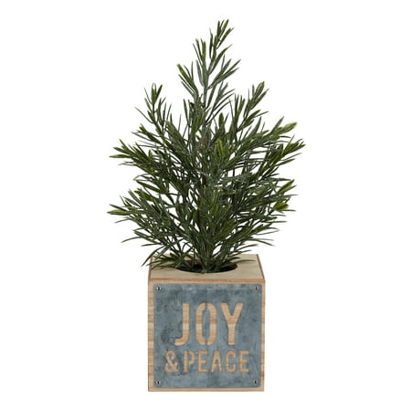 Holiday Time Rosemary Tree in Die Cut Joy Box Christmas Decoration,