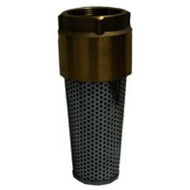 Foot Valve, 3/4" Ips Brass Nl