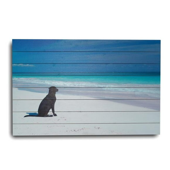 HomeRoots 401530 36 in. Energetic Dog At The Beach Wood Plank Wall Art, Multi Color
