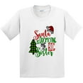 thumbnail image 3 of Inktastic Santa is Promoting Me to Big Sister Green Plaid Tree Youth T-Shirt, 3 of 5