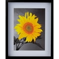 thumbnail image 5 of 2-3/16" Deep Polystyrene Shadow Box Picture Frame - by WholesaleArtsFrames-com 24x34 2880 Series - Black - Made In USA, 5 of 6