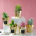 thumbnail image 1 of Neinkie Artificial Succulent Plants in Pots - Assorted Fake Succulents - Mini Succulent Plants - Small Succulent Plants for Window Sills, Bathrooms, Office Spaces, and More, 1 of 2