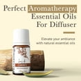 thumbnail image 4 of Cannes Essential Oil Diffusion Blend, 4 of 4