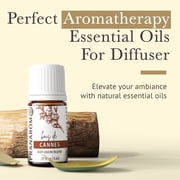 Cannes Essential Oil Diffusion Blend