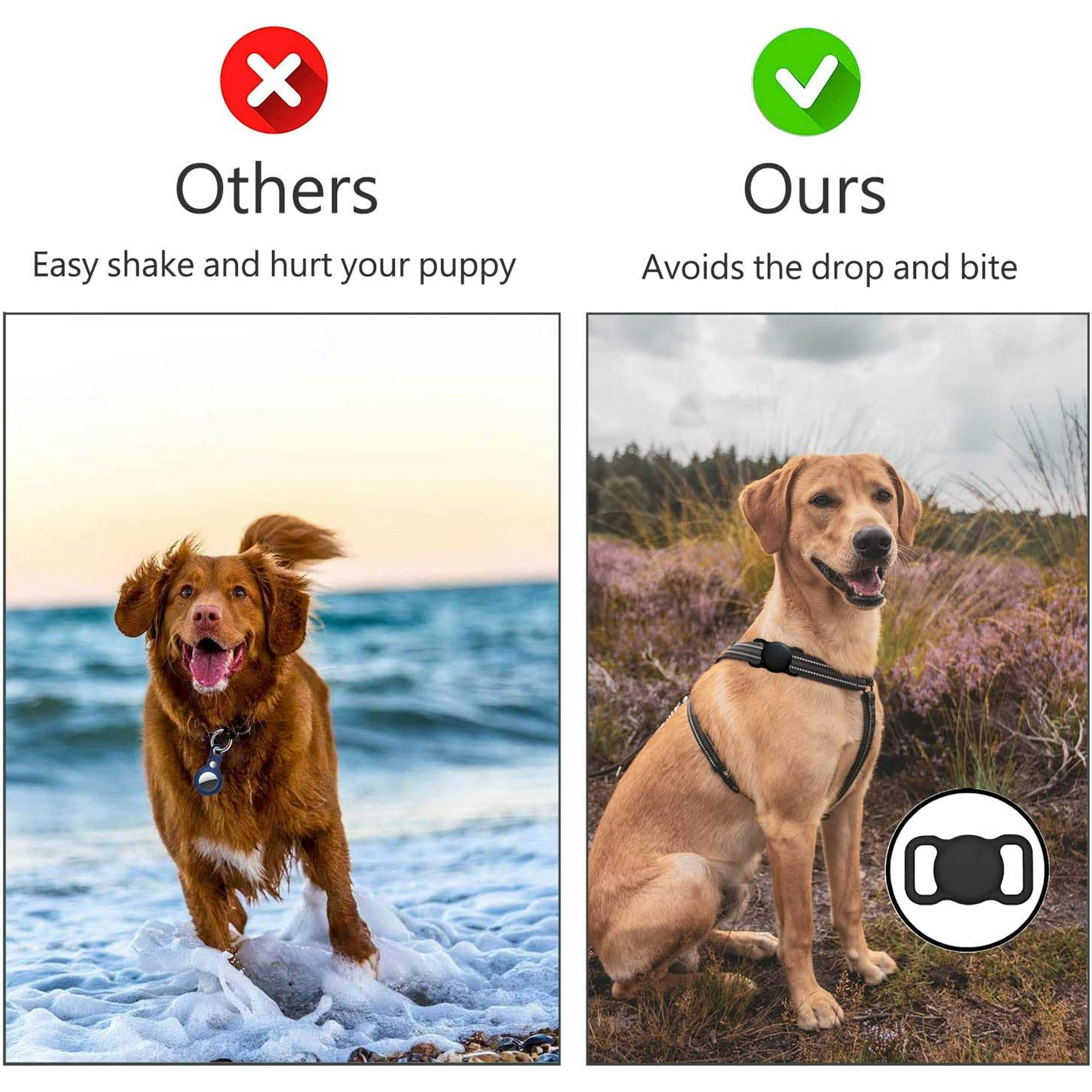 Dog collar tag holder online