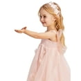 thumbnail image 2 of Douhoow 1-8 Years Princess Girls Tutu Dress Pink Butterfly Wings A-line Dress Sleeveless Mini Dress, 2 of 9