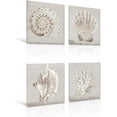 thumbnail image 2 of Neutral Shells Eva Watts by PI Creative Art Modern seashells Canvas Wall Art Vintage Pictures Giclee Print on Canvas Stretched for Living Room Bedroom 16 x 16 inch x 4 pcs, 2 of 6