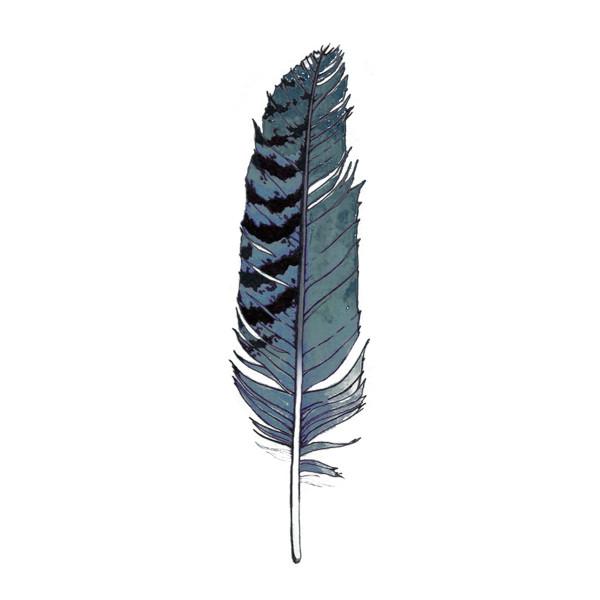 Tattly Temporary Tattoos Blue Jay Feather Set Of 2 Walmart Com
