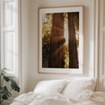 thumbnail image 6 of Redwood Forest Sunbeams - Mill Valley California Photography Forest Nature Autumn Woods Woodland Scenic Mystical Unframed Wall Art Print 24 x 32 inches, 6 of 13