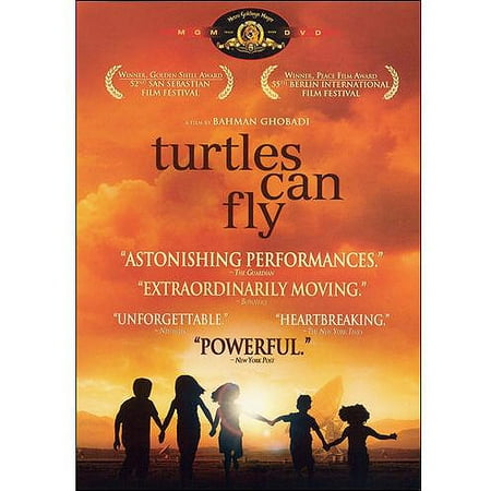 Turtles Can Fly