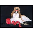 thumbnail image 1 of Carolines Treasures SS8562JMAT Shih Tzu Doormat - 24 x 36 in., 1 of 4