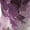 Purple, variant on Loose Pants for Women Botanical Print Relaxed Fit with Patchwork Detail And Side Pockets for Weekend Comfort And Daily Styling Womens Trousers