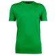 thumbnail image 1 of Tee Jays - Camiseta básica de manga corta con cuello redondo para hombre - 100% Algodón ringspun combed interlock (Verde Primavera), 1 of 1