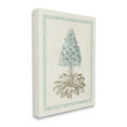 thumbnail image 3 of Stupell Industries Vintage Plant Nature Study Graphic Art Gallery Wrapped Canvas Print Wall Art, Design by Vision Studio, 3 of 7