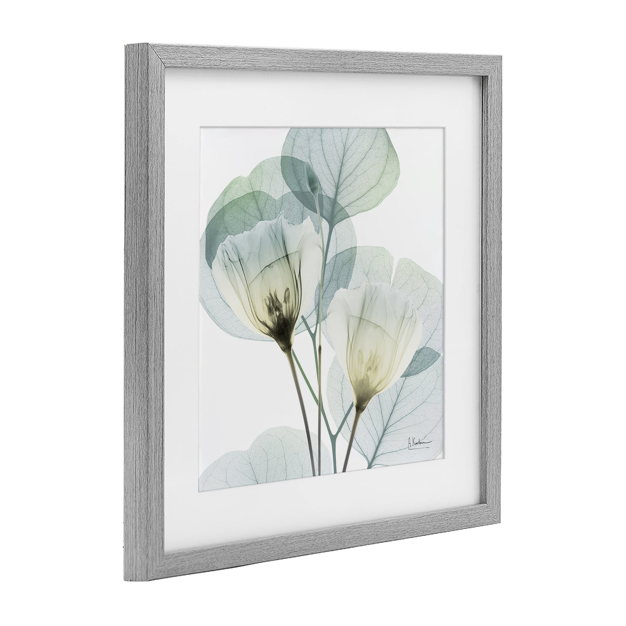 Stupell Industries Divine Fate Flower Leaves Gray Framed Print Under Glass, design by Albert Koetsier