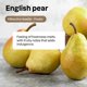 thumbnail image 5 of Atitud Dsh Liq Eng Pear (9X24.00), 5 of 5