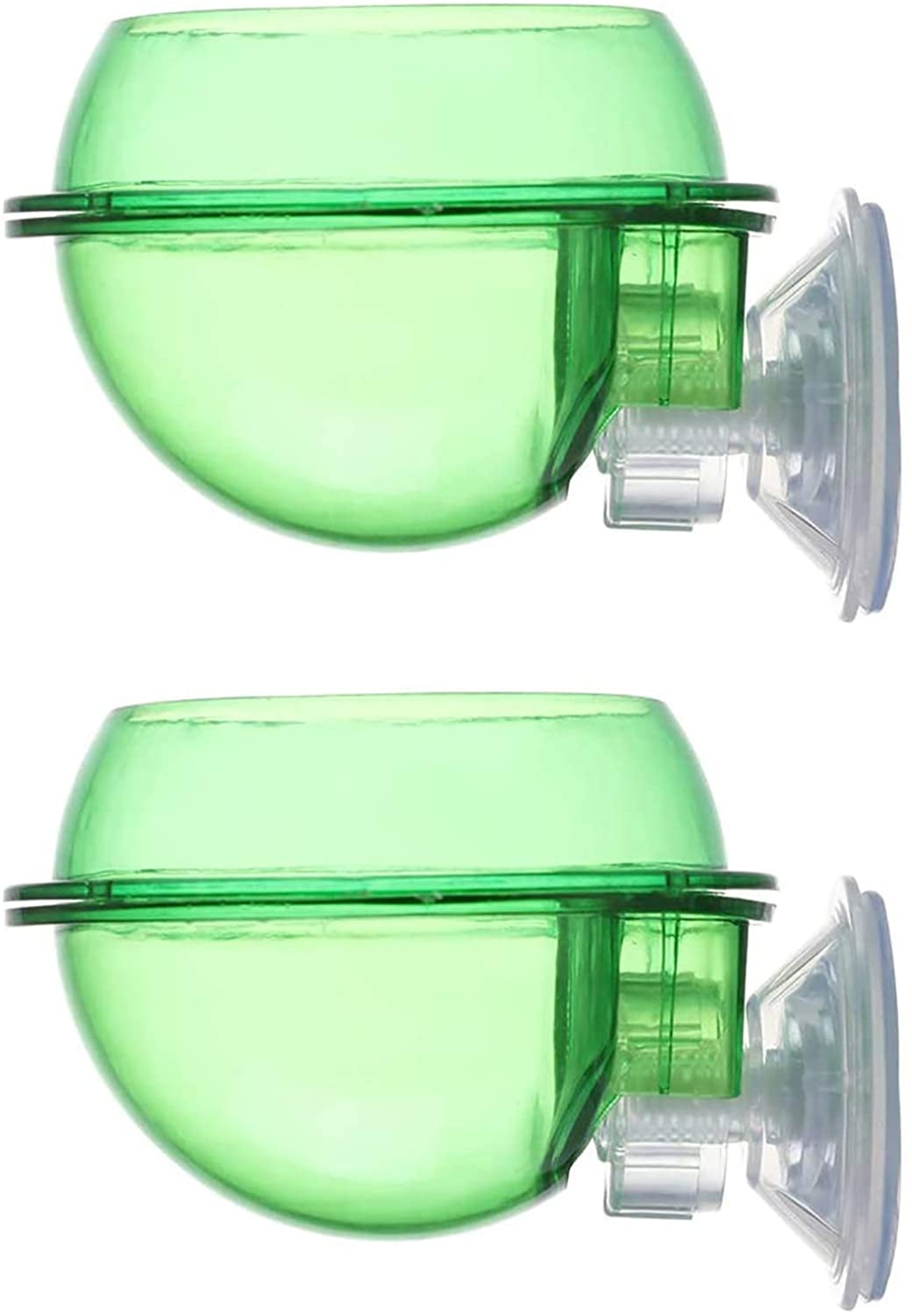 chameleon water bowl