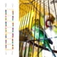 thumbnail image 2 of Escalera de madera doblada flexible juguete mascota loro hámster columpio escalada herramienta para mascotas (8 #), 2 of 10