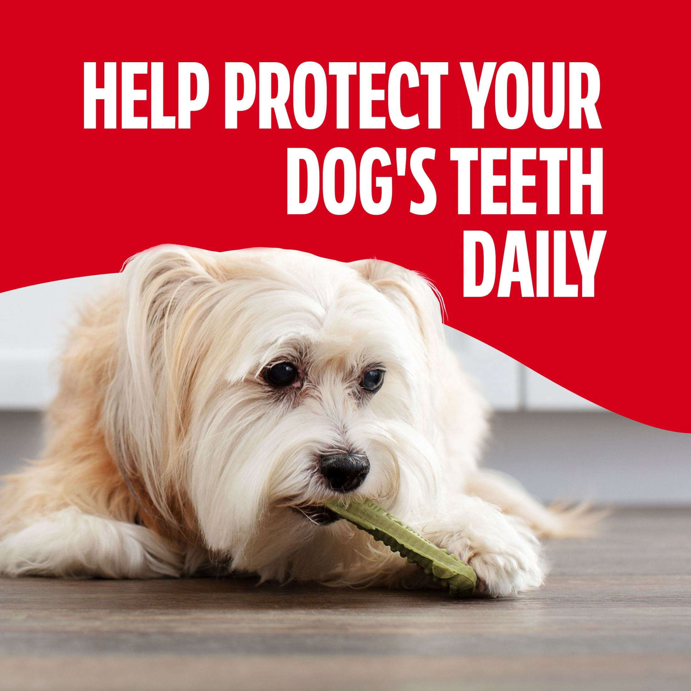 (4 pack) Milk Bone Brushing Chews Fresh Mint Flavor Daily Dental Dog Treats, Mini, 18.9 oz Bag