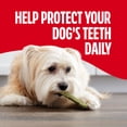 thumbnail image 5 of Milk Bone Brushing Chews Fresh Mint Flavor Daily Dental Dog Treats, Mini, 18.9 oz Bag, 5 of 14