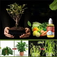 thumbnail image 1 of Xihbxyly Paletas No Reclamadas Suplemento Potenciador Del Crecimiento de Las Plantas 50 Ml Solución Nutritiva Universal Concentrador para El Crecimiento de Las Plantas, 1 of 7