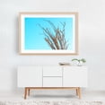 thumbnail image 6 of Ocotillo in the Fall - Mojave Desert - California Photography Unframed Wall Art Print 8 x 12 inches, 6 of 7