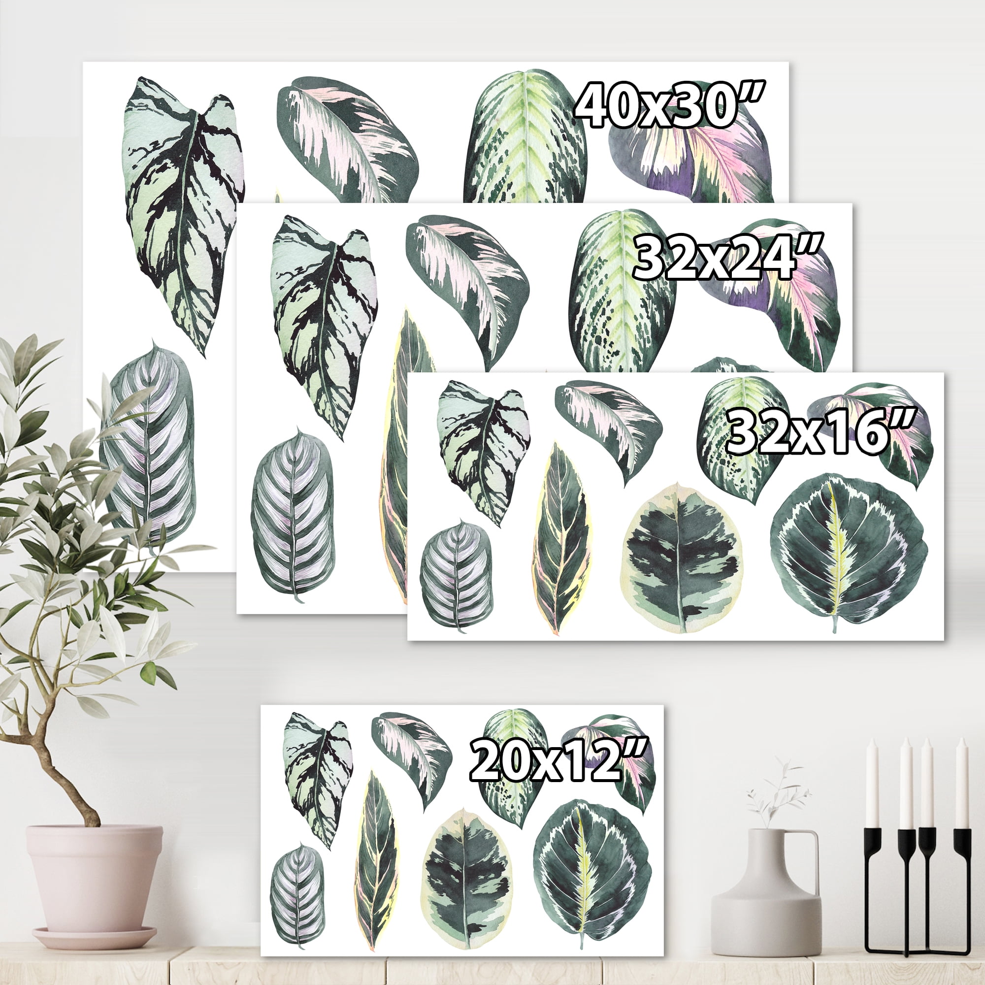 Designart ' Tropical Calathea Leaves On White ' Bohemian & Eclectic Canvas Wall Art Print