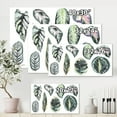 thumbnail image 4 of Designart ' Tropical Calathea Leaves On White ' Bohemian & Eclectic Canvas Wall Art Print, 4 of 4