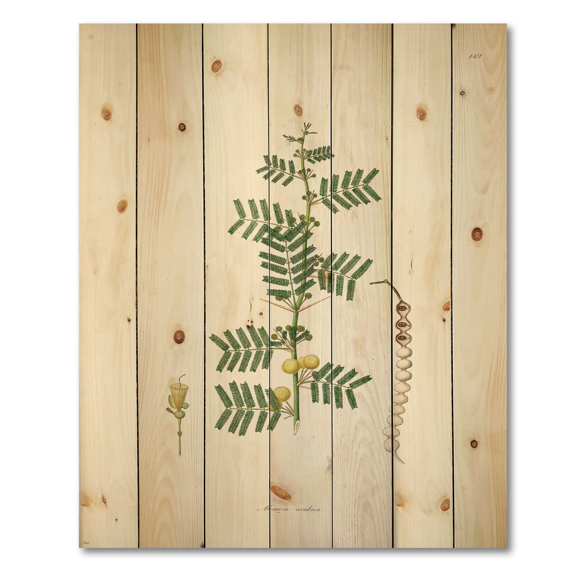 Designart 'Ancient Blossoming Flower III' Farmhouse Print on Natural Pine Wood