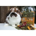thumbnail image 3 of Exotic Nutrition Pasture Plus+ Dandelion Delicacy - Small Animal Pet Treat - Squirrels, Guinea Pigs, Rabbits, Chinchillas, Pr, 3 of 3