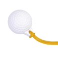 thumbnail image 1 of Golf Driving Range Ball Swing Hit Shot Training Aids Practice With 12m Rope, 1 of 5