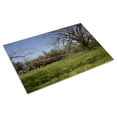 thumbnail image 3 of Print: Gee's Bend, Alabama, 2010, 3 of 4