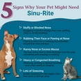 thumbnail image 2 of PetAlive Sinu-Rite Dog and Cat Nasal Congestion Relief - Homeopathic Tablets - Supports Relief from Dog Sinus Congestion, Runny Nose, Facial Pressure - Dog Sneezing Treaent - 180 Count, 2 of 8