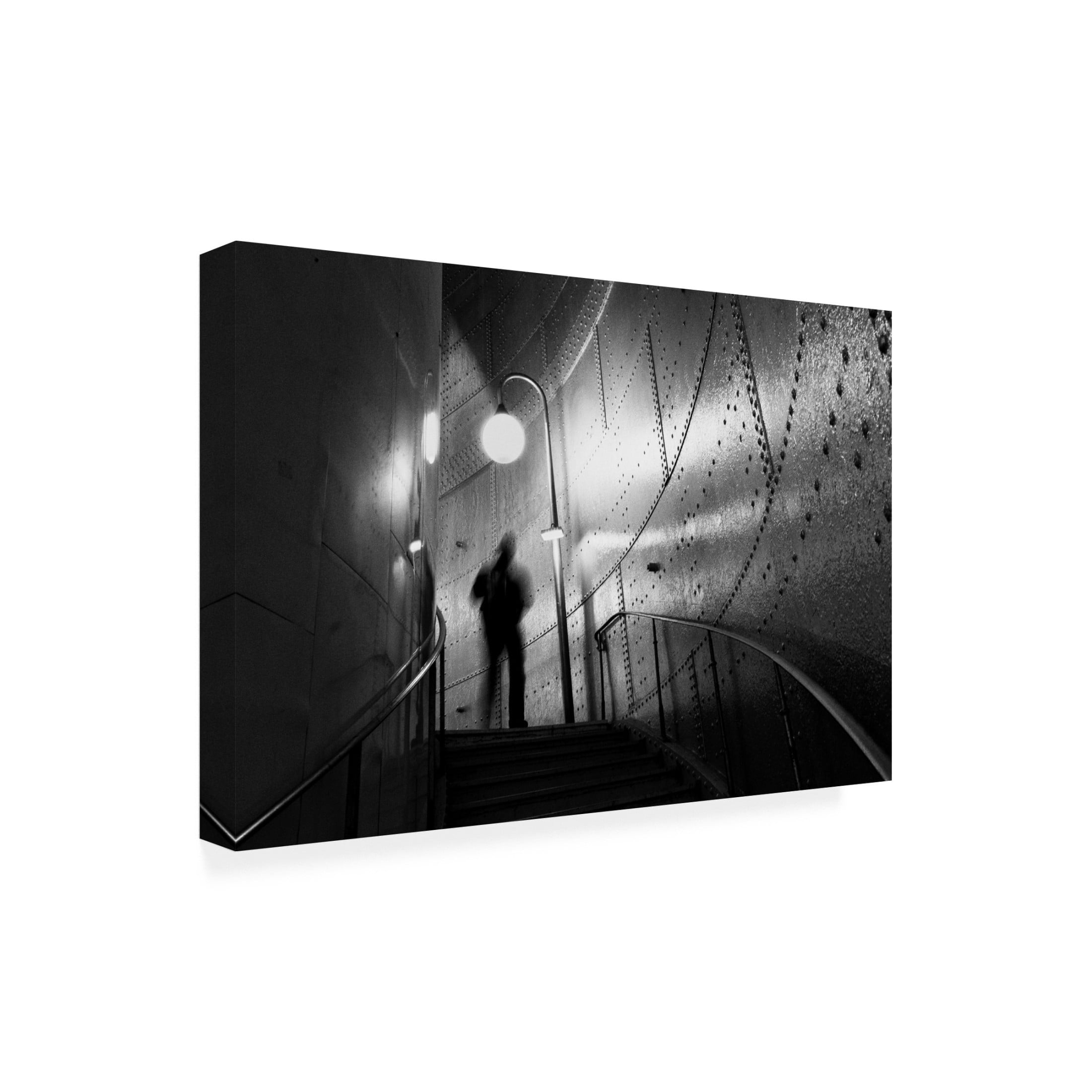 Canvas Wall Art - Art Lionse 'Ghost' Wall Art for Living Room, Bedroom, or Office Décor by Trademark Fine Art - 47 x 30 Inches