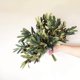 thumbnail image 5 of Paquete de 5 ramas de olivo, plantas artificiales, tallos verdes, hojas de olivo, frutas falsas, plantas de seda JFHHH pequeña, 5 of 5