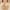 Beige, variant on Otvok Plus Size Bras for Women Support Wirefree Full Coverage Bralettes Comfortable No Wire Push Up Corset Bra