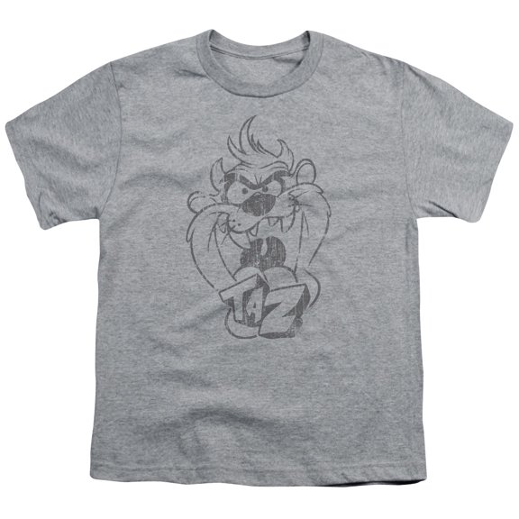 Looney Tunes - Faded Taz - Youth Short Sleeve Shirt - Large