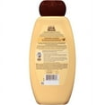 thumbnail image 2 of Garnier Whole Blends Shampoo with Avocado Oil & Shea Butter Extracts, For Dry Hair, 22 fl. oz., 2 of 11