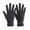 Black, variant on AWZXDE Ladies Autumn Winter Comfortable Flip Cover Plus Velvet Windproof and Cold Proof Warm Riding Driving Touchscreen Gloves for Versatile Use Purple,One Size