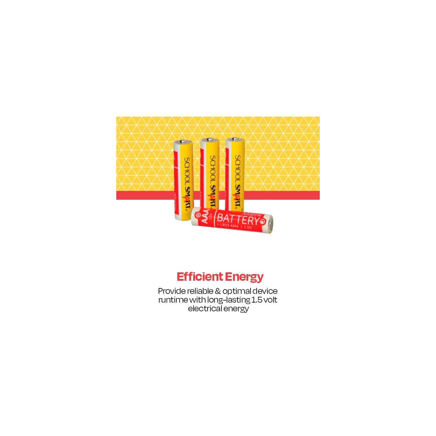 Alkaline Batteries, AAA, Pack of 48