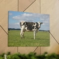 thumbnail image 6 of Majestic Cow Art Majestic Cow Print Animal Wall Art Wildlife Canvas Prints Wall Art Ready to Hang Unframed, 6 of 18