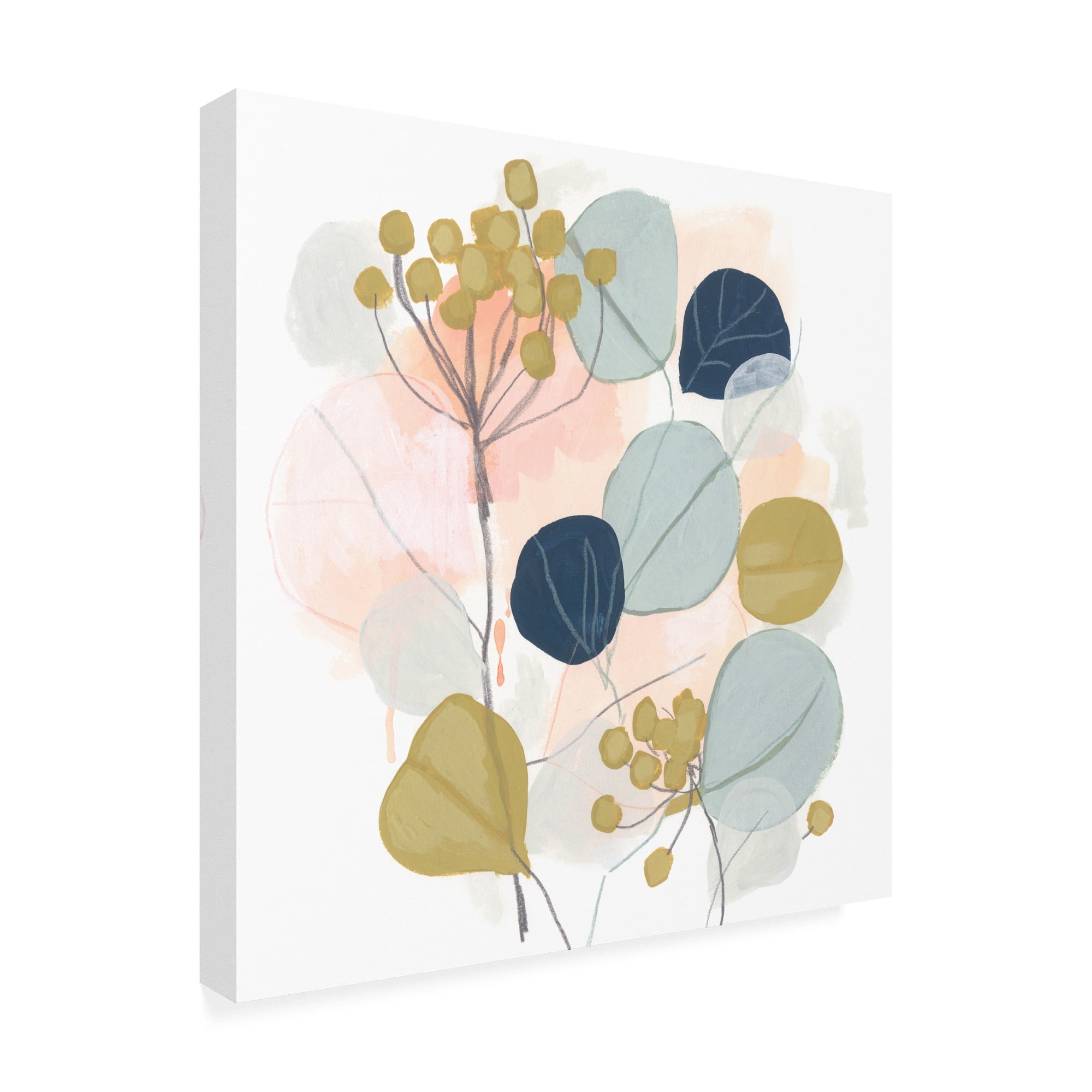 Trademark Fine Art 'Floral Mazurka I' Canvas Art by June Erica Vess