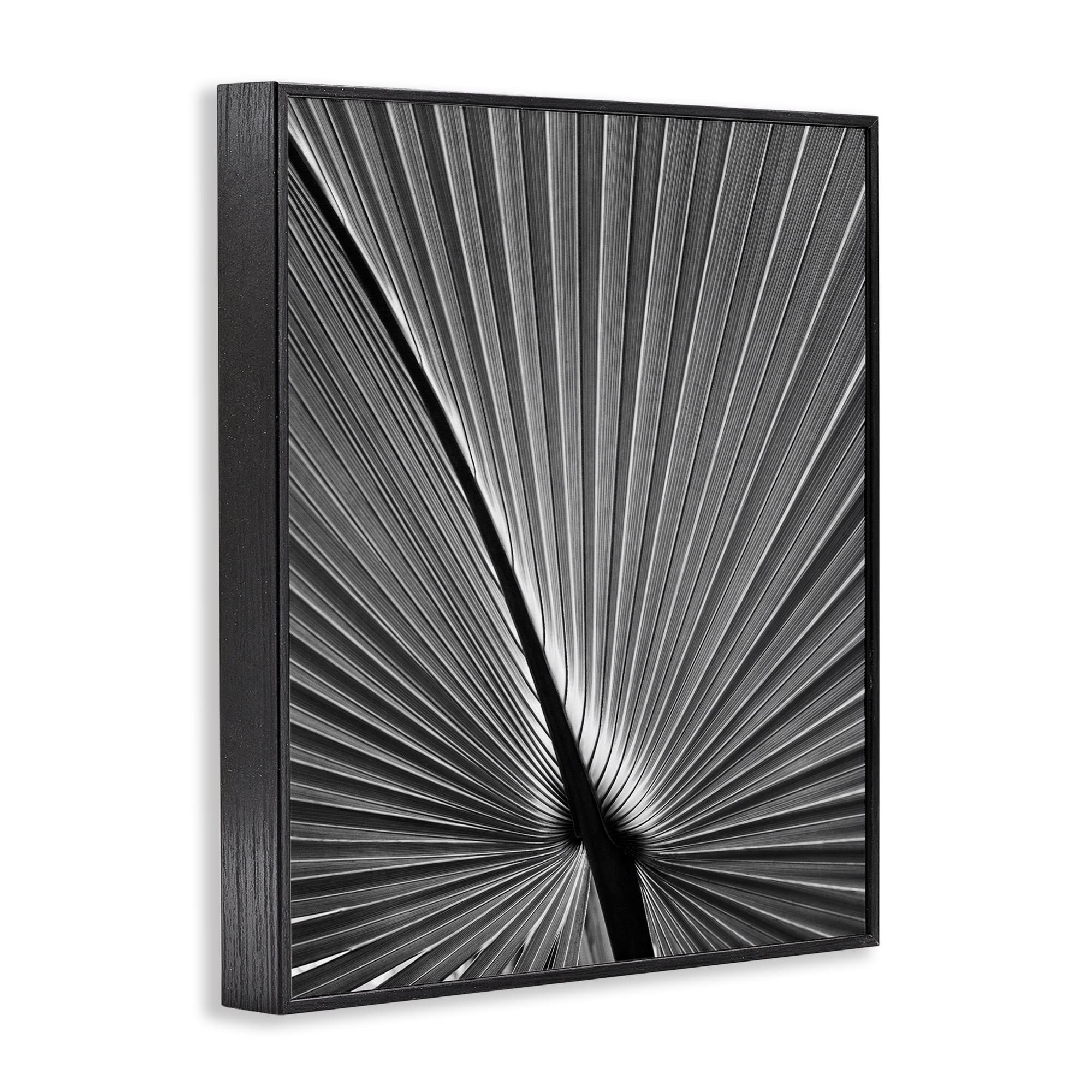 Stupell Industries Palm Frond Detail Botanical & Floral Photography Black Framed Art Print Wall Art, 24 x 30