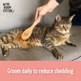 thumbnail image 4 of Cepillo para gatos The Buddy System de grado profesional (1 paquete), 4 of 6