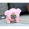 thumbnail image 3 of Frenchiestore Organic Dog Frenchie Ear hoodie | Little Piggy, 3 of 9